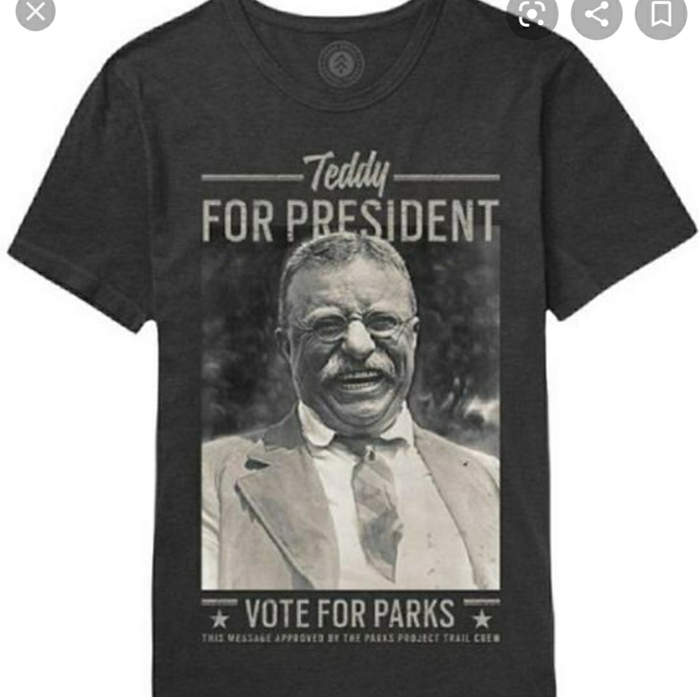 Parks Project Teddy Roosevelt Tee